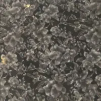 پارچه مخمل چادری وگیپور