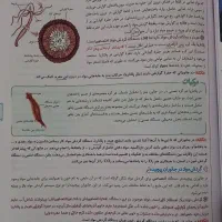 زیست شناسی خیلی سبز دهم|کتاب و مجله آموزشی|بهارستان, |دیوار