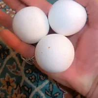 سنگ آسیاب .|عمده‌فروشی|زاهدان, |دیوار