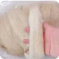 پشم حلاجی
