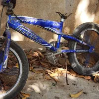 دوچرخه حرفه ای سایز ۲۰|دوچرخه، اسکیت، اسکوتر|بوشهر, |دیوار