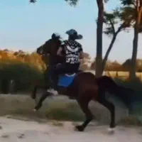 اسب سواری دارنقد اقساط