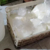 لبنیات ارگانیک کلات نادر