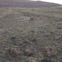 چاه کنی چاه آب و چاه فاضلاب
