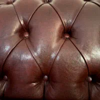 فروش چستر venus و ۲ عدد تک نفره|مبلمان خانگی و میز عسلی|کیش, |دیوار