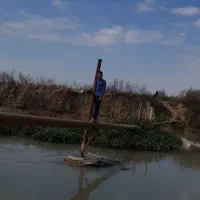 میناو|ماهیگیری|اهواز, الهائی|دیوار