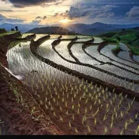 بزرگترین  نمایندگی  فروش کود ارگانیک