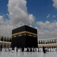 فروش فیش عمره