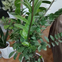 جویای کار