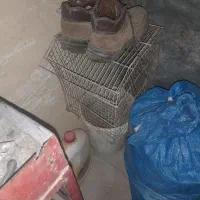 قفس پرنده بفروش می رسد