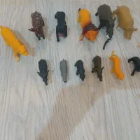 فیگو‌‌‌‌‌‌‌‌ر|اسباب‌‌بازی|رشت, پاستوریزه|دیوار