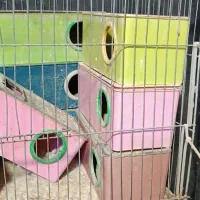 ۱۶ عدد قفس پرنده / لونه پرونده / ابخوری