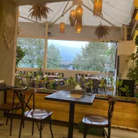 سالن دار|استخدام خدمات فروشگاه و رستوران|رشت, منظریه|دیوار