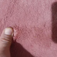 دو عدد ۱۲ متری جفت ویک نه متری|فرش|قیدار, |دیوار