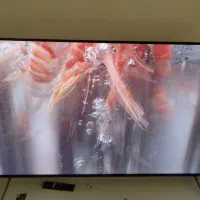 ال‌ای‌دی۶۵اینچ سونی سری۸گوگلTVهوشمند۱۲۰هرتز|تلویزیون و پروژکتور|تهران, پرستار|دیوار