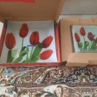 ظروف پذیرایی