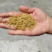کود|عمده‌فروشی|اهواز, کیان اباد|دیوار