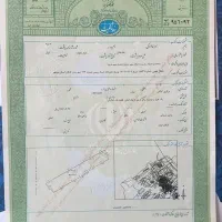 زمین باغی