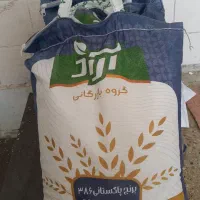برنج پاکستانی