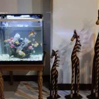 اکواریوم شرکتی دلسامدل k500همراه35ماهی