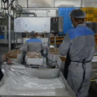 کارگر اتباع