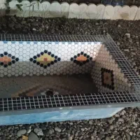حوض آبنما