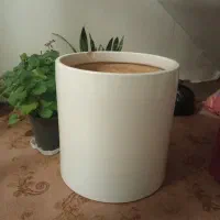 گلدون بزرگ