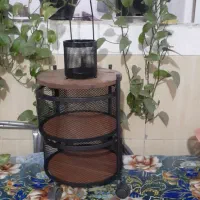جاقاشقی
