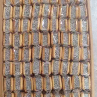 باسلوق بیسکوییتی