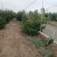 باغ۱۵۰۰متر جاده شیرین عسل|فروش خانه و ویلا|شبستر, |دیوار