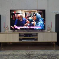 اسپیکر دوقلو