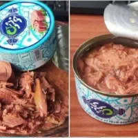 تن ماهی خوشتون 180 گرمی    عمده|خوردنی و آشامیدنی|قم, انسجام|دیوار