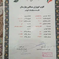 مسافتی نسل نشسته،