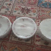 بشقاب آرکو پال