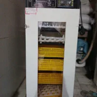 دستگاه جوجه کشی نوه|لوازم جانبی حیوانات|لردگان, |دیوار