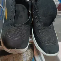 3جفت کفش نو|کیف، کفش، کمربند|تربت جام, مطهری|دیوار