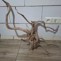 چوب آبنوس خاص پسند برای آکواریوم