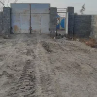 زمین-قطعه-بندی-کاهو