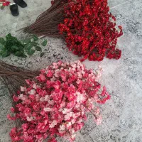 شاخه گل
