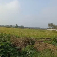 1100متر زمین مسکونی 4 بر