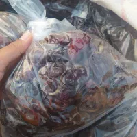 خرمایی کبکاب درجه یک