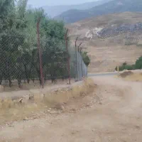 فروش یه قطعه باغ|فروش زمین و ملک کلنگی|صمصامی, |دیوار