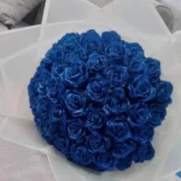 گل ربانی|گل مصنوعی|اردبیل, |دیوار