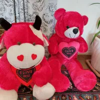 تعداد محدودی عروسک به قیمت تولیدی