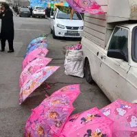 چتربچهگانههمهمدل|اسباببازی|مشکیندشت, |دیوار