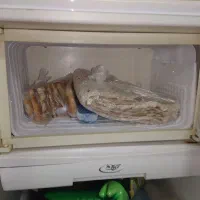 فروش فوری  فوری  یخچال ارج