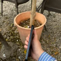 ایفون ۱۳|موبایل|تبریز, |دیوار