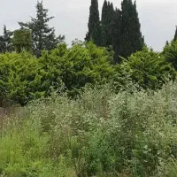 زمین-1600-متری-در-کویر-کد240019-اکبری