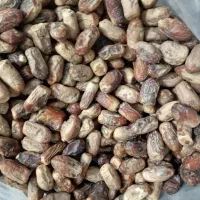 شندشکن با رنگو دارم خراج|خوردنی و آشامیدنی|سراوان, |دیوار