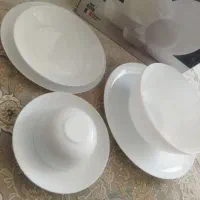 ارگوپال